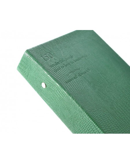 Luxury Card Holder Photo Album for Fujifilm Instax Mini Films - Green